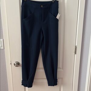 Anthropologie Navy Trousers